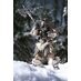 The Elder Scrolls V Skyrim Action Figure 1/6 Dragonborn Deluxe Edition 32 cm