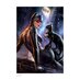Preorder: DC Comics Art Print Catwoman: Girl's Best Friend 41 x 61 cm - unframed