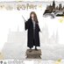 Preorder: Harry Potter Life-Size Statue Hermione Granger 169 cm