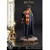 Preorder: Harry Potter Prime Collectibles Statue 1/6 Harry Potter 28 cm