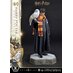Preorder: Harry Potter Prime Collectibles Statue 1/6 Harry Potter with Hedwig 28 cm