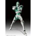 JoJos Bizarre Adventure Part3 Statue Legend PVC Statue Hierophant Green 14 cm