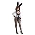 Preorder: A Ninja and an Assassin Under One Roof PVC Statue 1/6 Konoha Koga: Bunny Ver. 32 cm