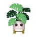 Preorder: Flora POP! Plants Vinyl Figure Monstera 9 cm
