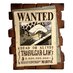 Preorder: One Piece Coin Bank Law Wanted