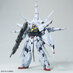 Mobile Suit Gundam Plastic Model Kit - MG 1/100 Providence Gundam