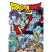 Dragon Ball Super vol 17 GN Manga
