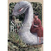 The Great Snake's Bride vol 01 GN Manga