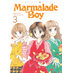 Marmalade Boy Collector's Edition vol 03 GN Manga