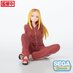 Magilumiere Co. Ltd. PM Perching PVC Prize Figure - Hitomi Koshigaya