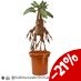 Harry Potter Interactive Plush Figure Mandrake 40 cm